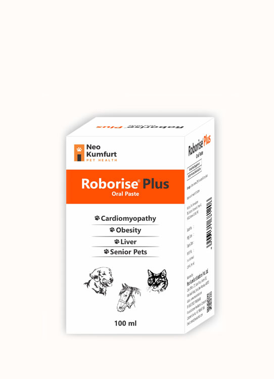 NEO KUMFERT ROBORISE PLUS ORAL PASTE 100ML